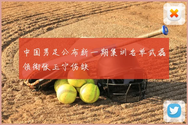 中国男足公布新一期集训名单武磊领衔张玉宁伤缺