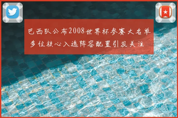 巴西队公布2008世界杯参赛大名单 多位核心入选阵容配置引发关注