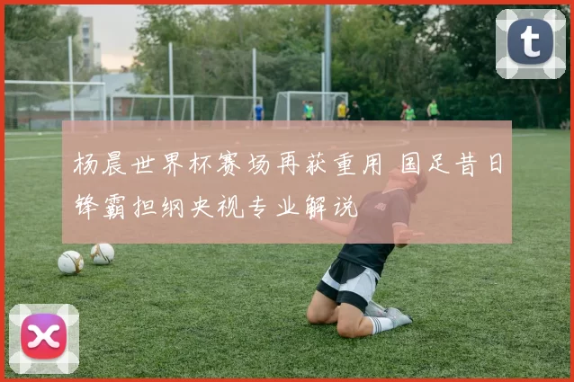 杨晨世界杯赛场再获重用 国足昔日锋霸担纲央视专业解说