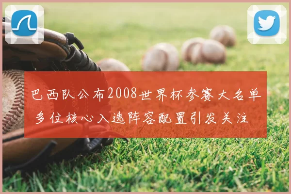巴西队公布2008世界杯参赛大名单 多位核心入选阵容配置引发关注