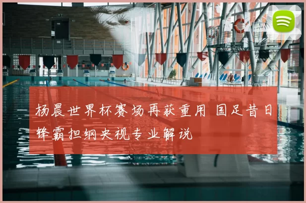 杨晨世界杯赛场再获重用 国足昔日锋霸担纲央视专业解说