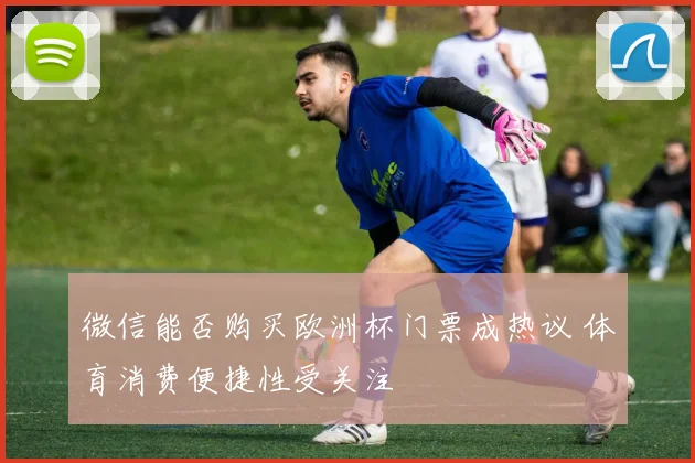 微信能否购买欧洲杯门票成热议 体育消费便捷性受关注