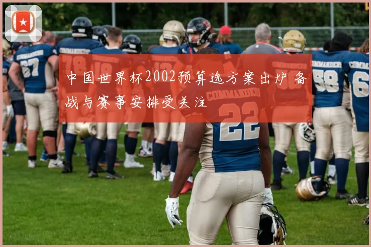 中国世界杯2002预算选方案出炉 备战与赛事安排受关注